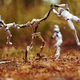 Illustration for article titled Cool Macroshots Show The Dramatic Adventures of emStar Wars/em Figurines